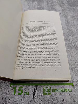 Собрание сочинений. Том 1. Горячий цех. Повесть о настоящем человеке