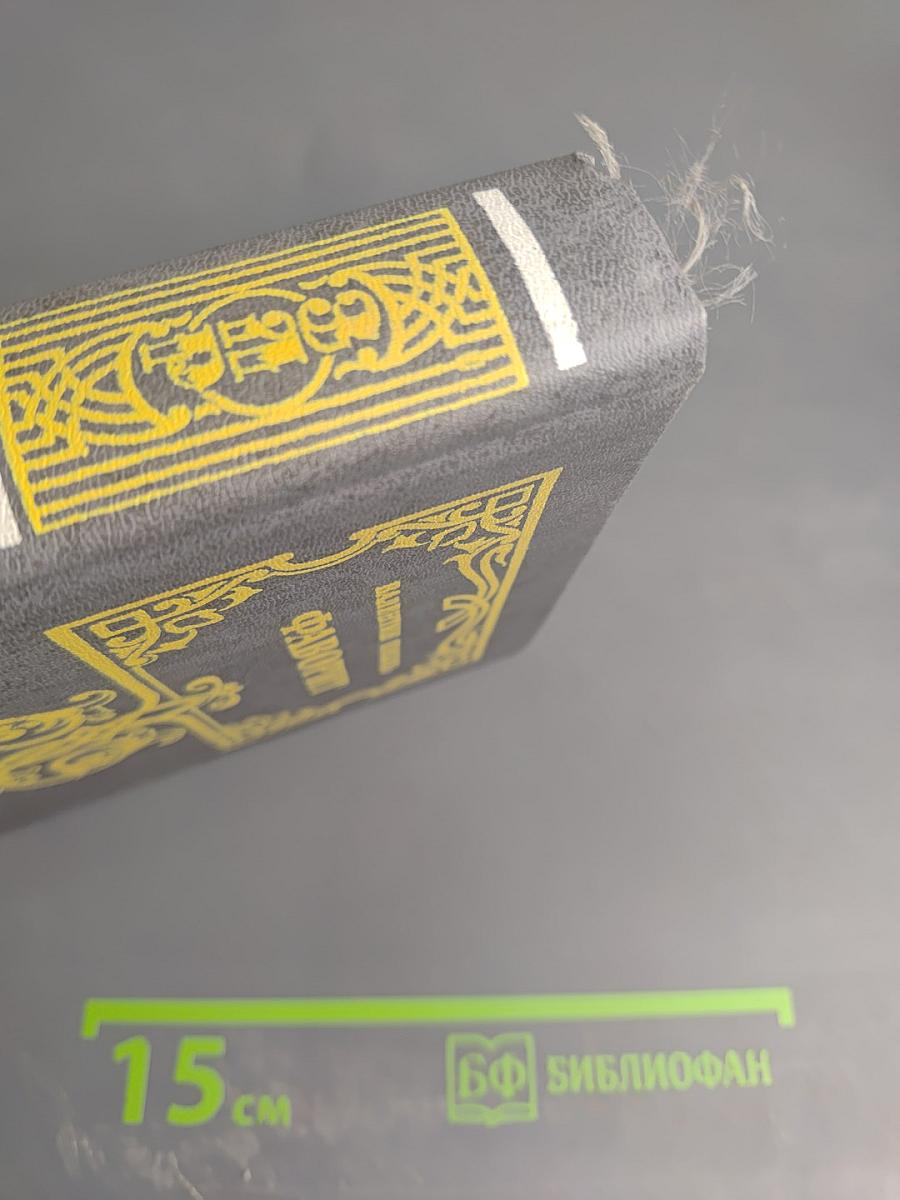 Фаворит. Том второй