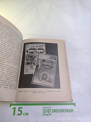 Рыцарь книги