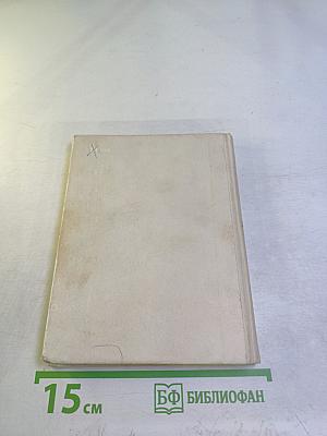 Рыцарь книги