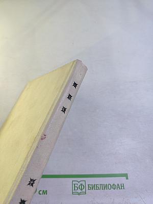 Рыцарь книги