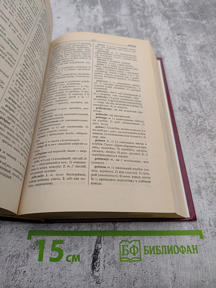 Новый французско-русский и русско-французский словарь