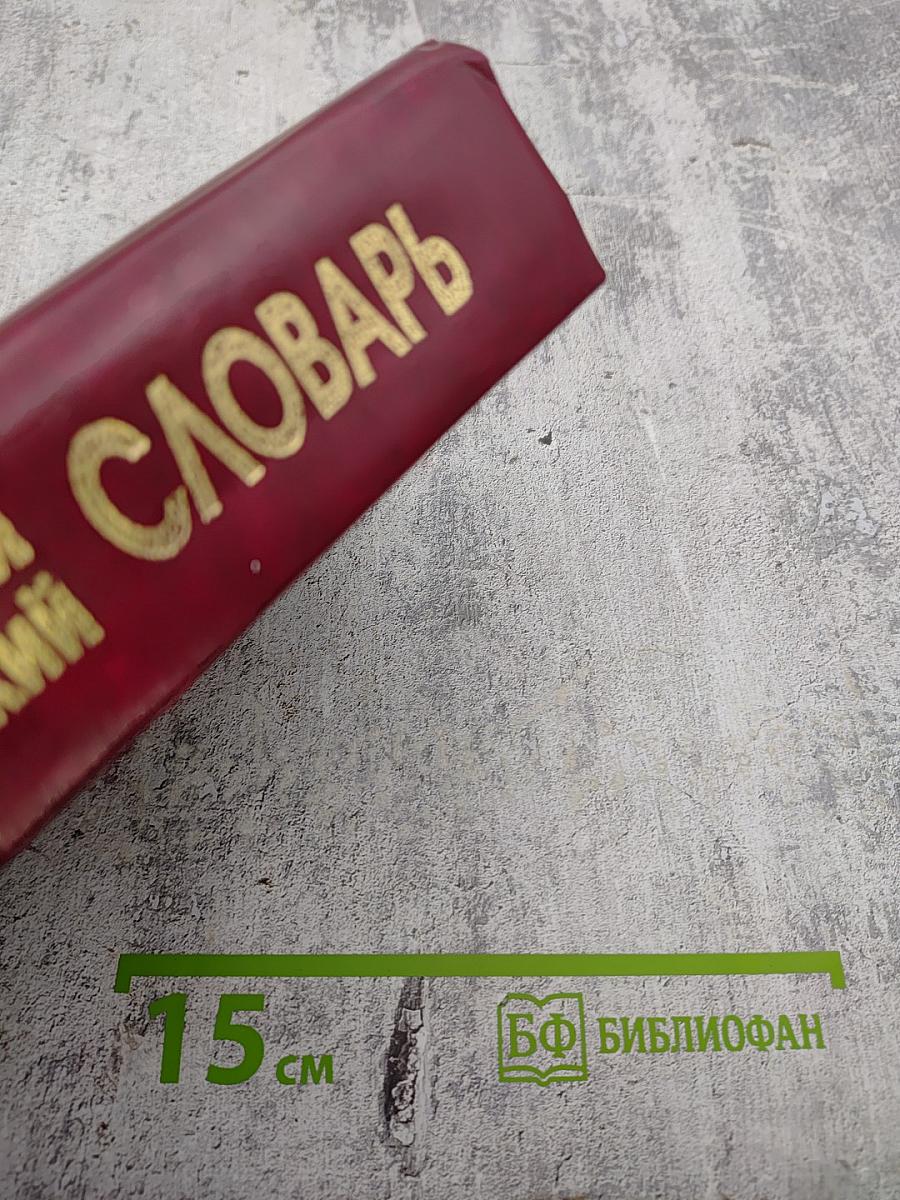 Новый французско-русский и русско-французский словарь