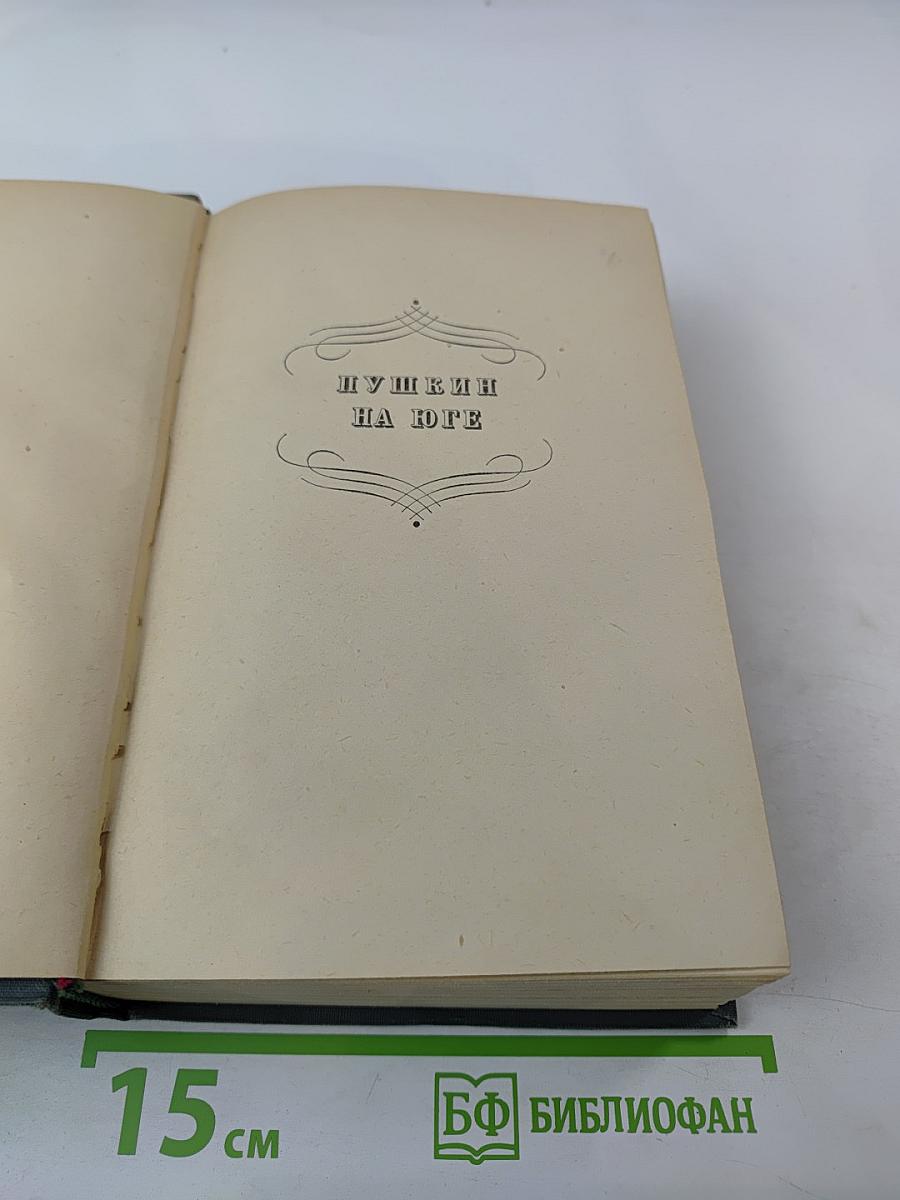 Пушкин в изгнании