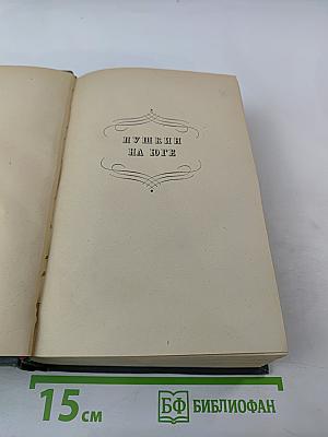 Пушкин в изгнании