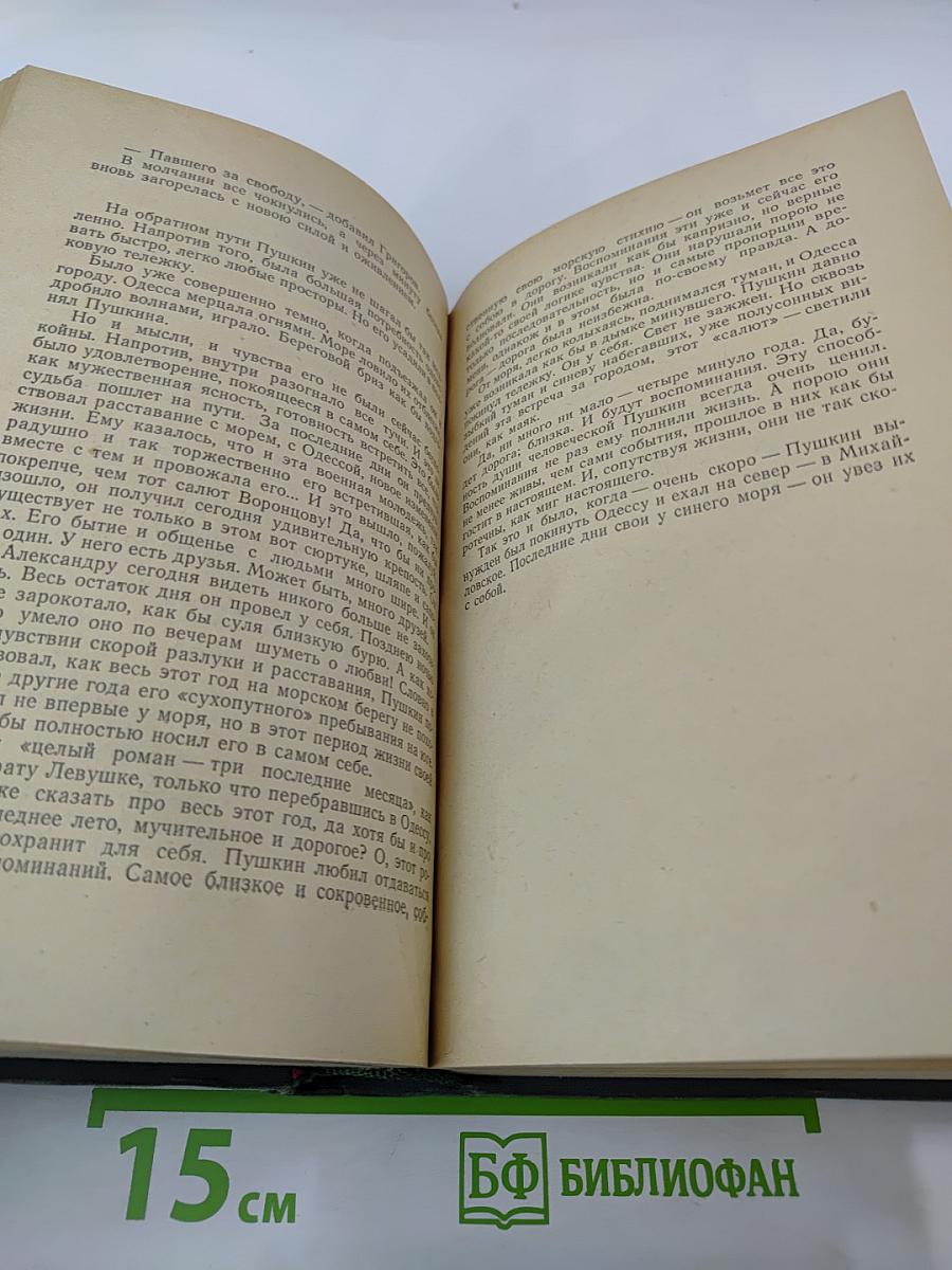 Пушкин в изгнании