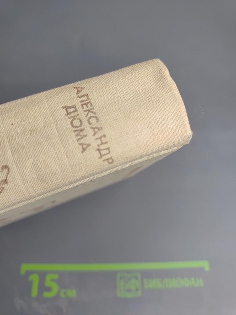 Граф Монте-Кристо Том 2