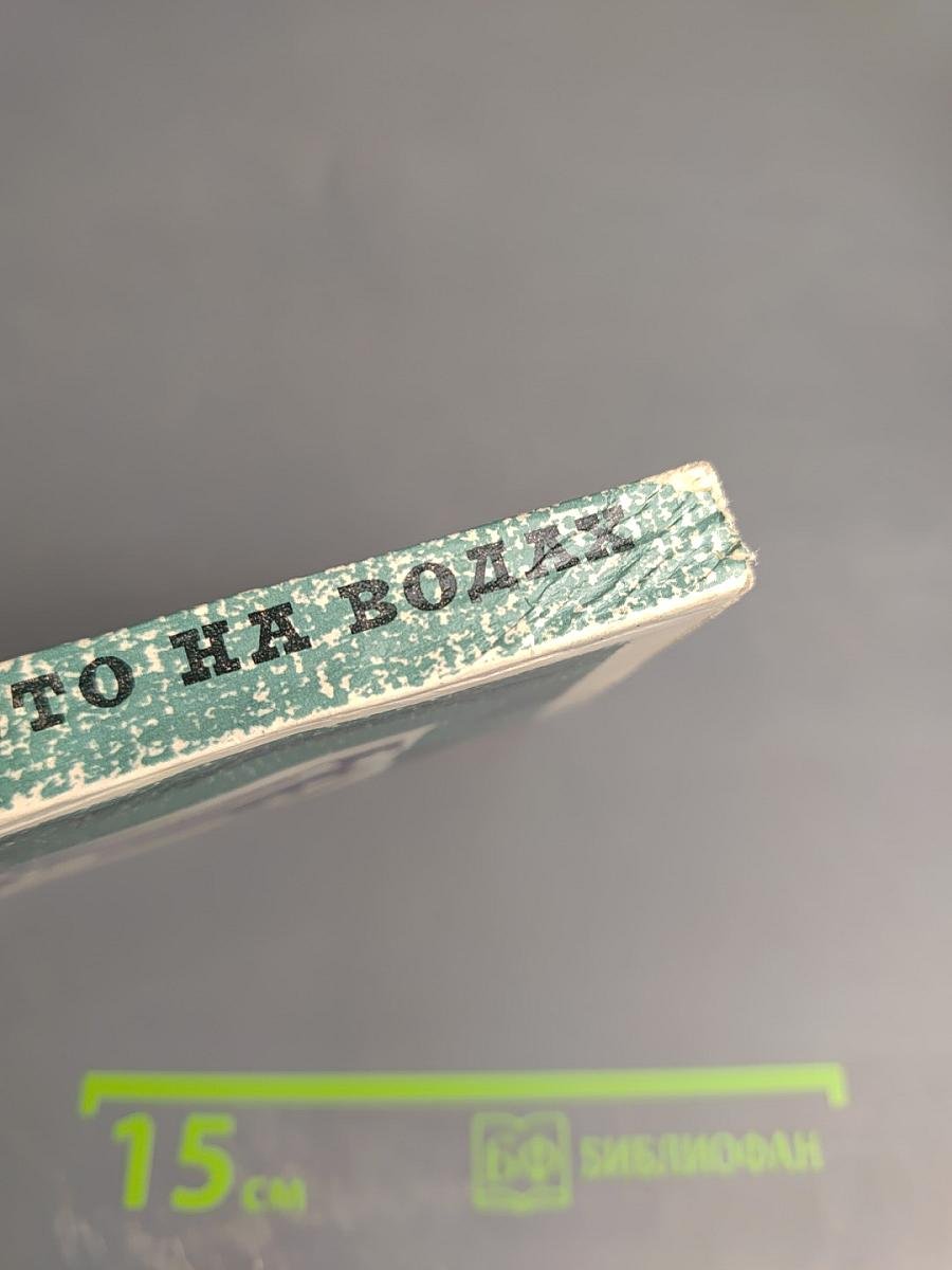 Лето на водах. Повесть о Лермонтове