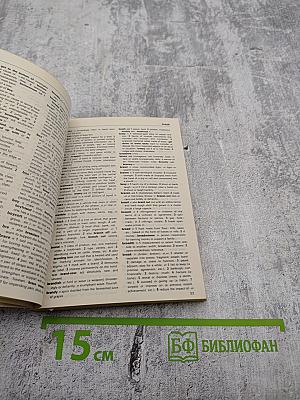 The Minster English Dictionary