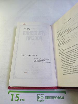 Уголовная Россия