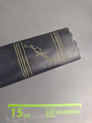 М. Горький. Собрание сочинений. Том 1: Повести, Рассказы, Стихи (1892-1894)