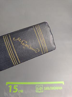 Собрание сочинений. Том 7: Повести, рассказы, очерки, наброски 1906–1907