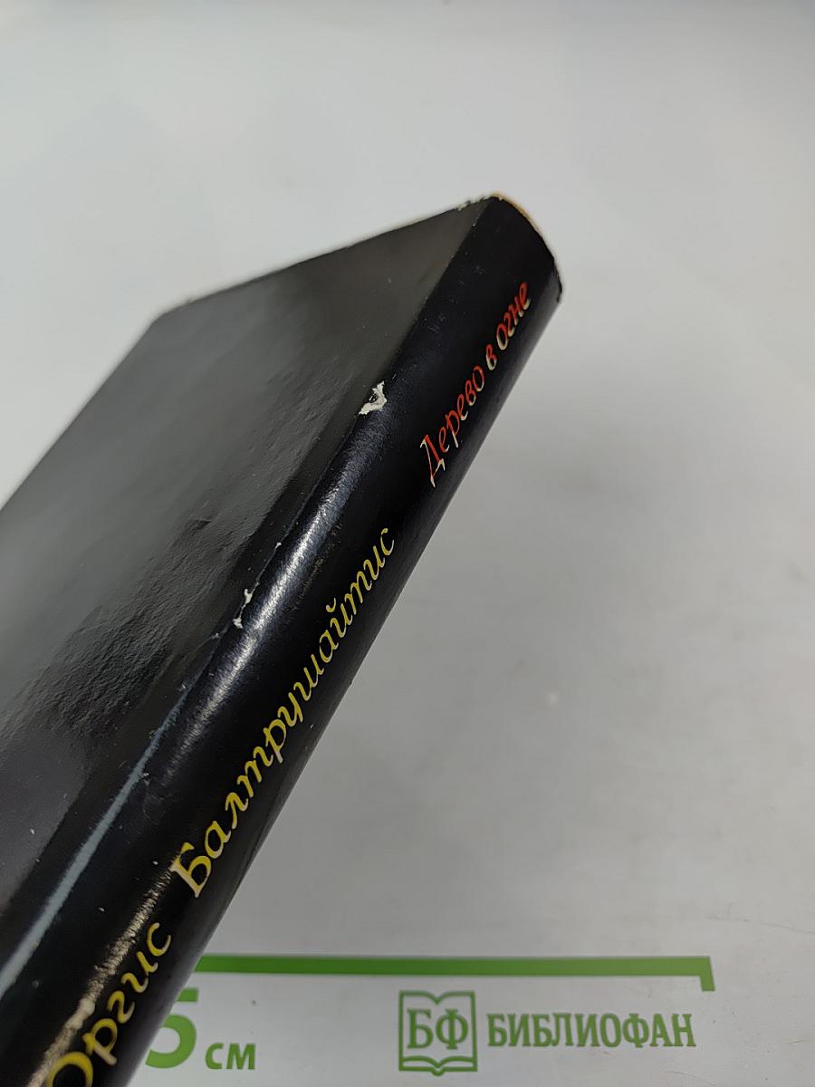 Дерево в огне