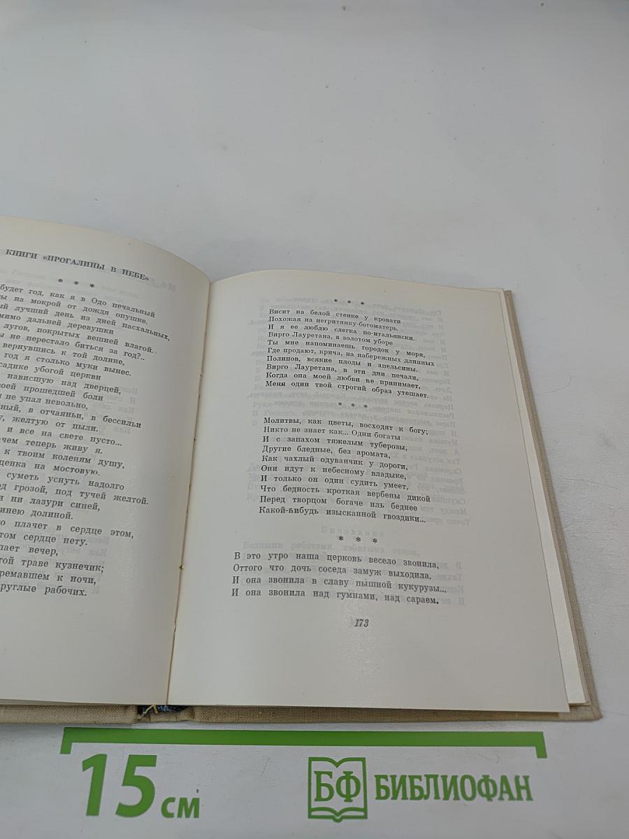 Тень деревьев