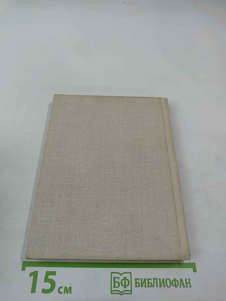 Тень деревьев