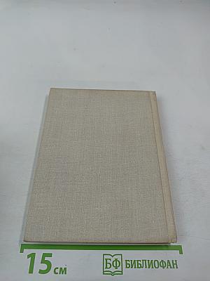 Тень деревьев