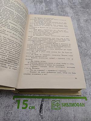 Виконт де Бражелон, или Десять лет спустя. Части 5, 6