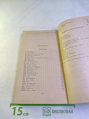 Сальтеадор; Женщина с бархаткой на шее