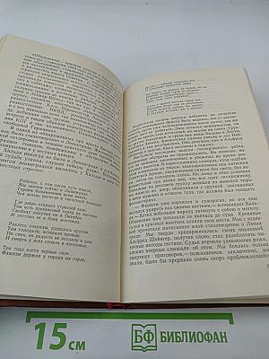 Верим, верны!