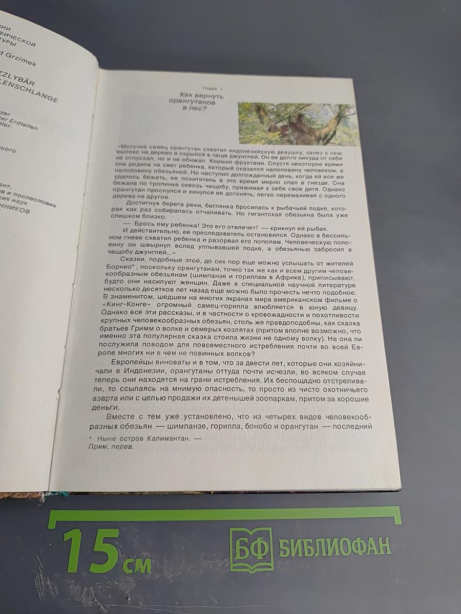 От кобры до медведя гризли