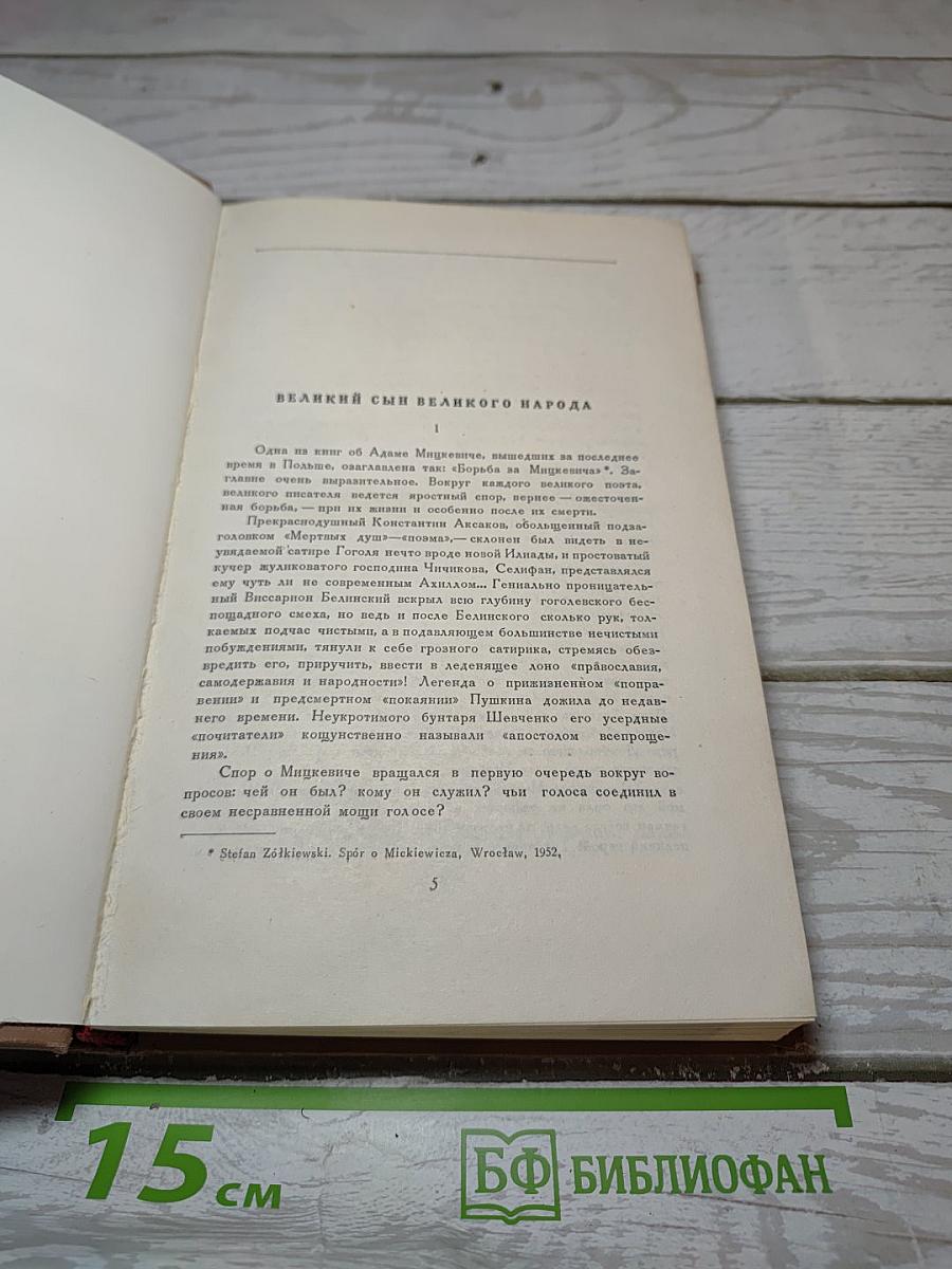 Адам Мицкевич