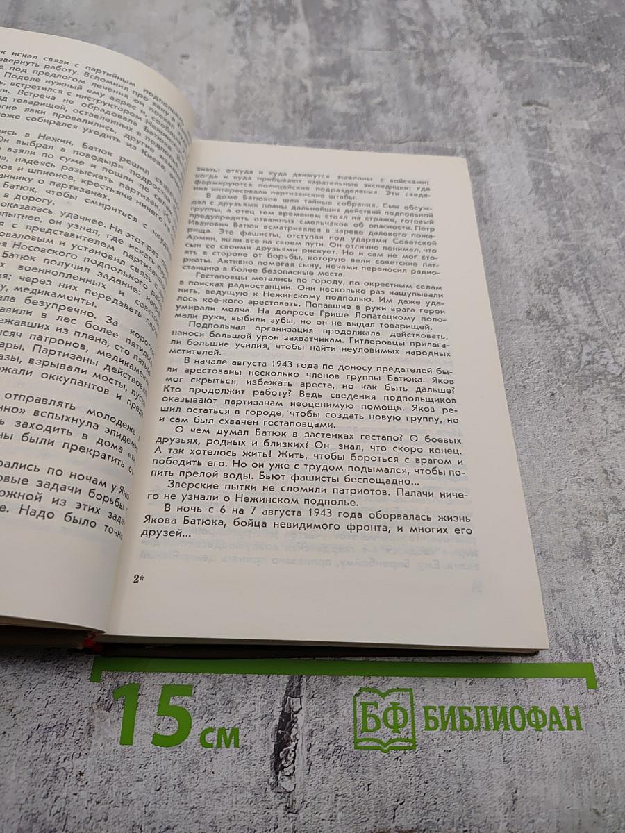 Золотые звезды Полесья