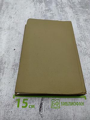 Золотые звезды Полесья