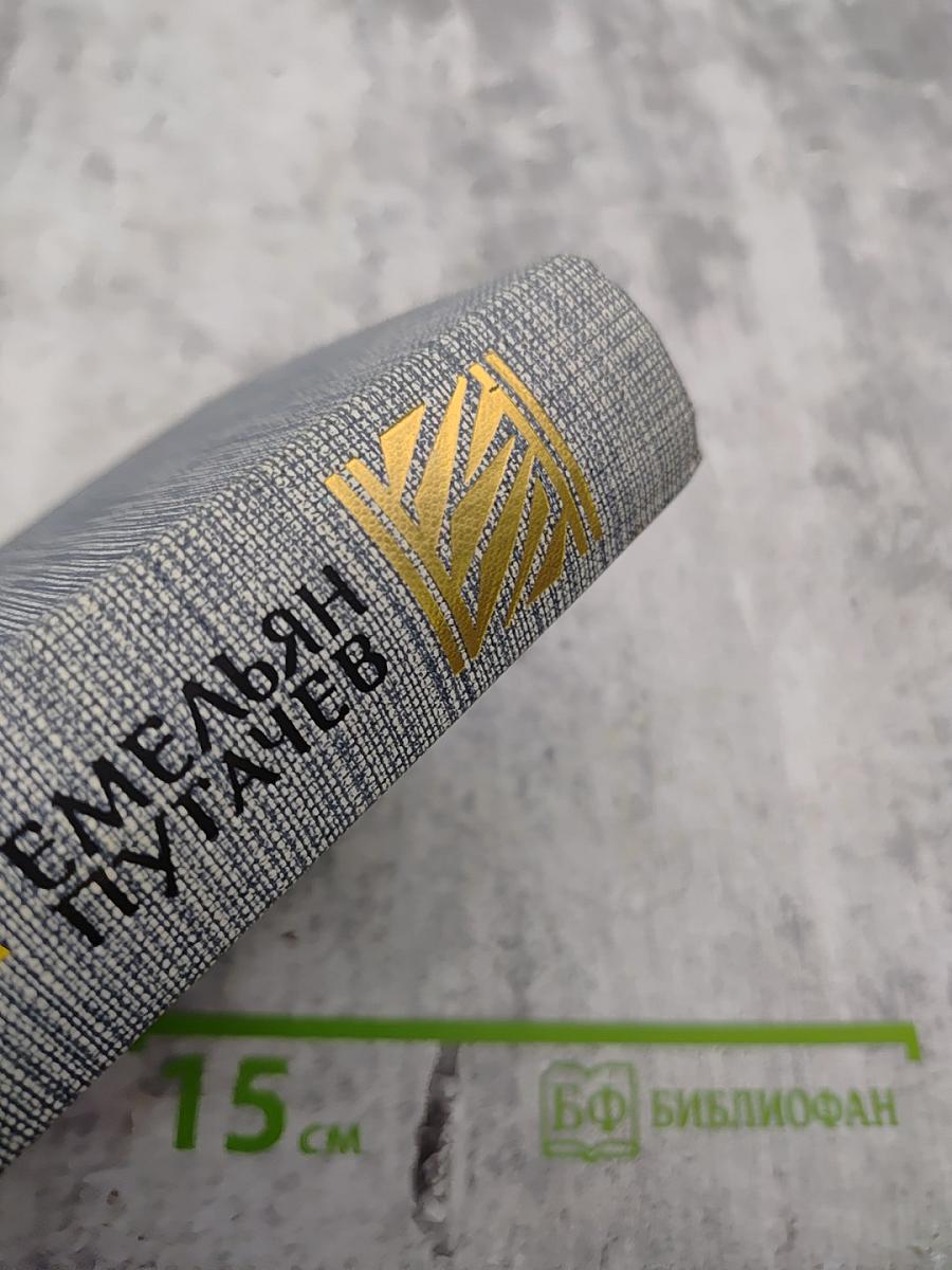 Емельян Пугачев. Историческое повествование. Книга первая