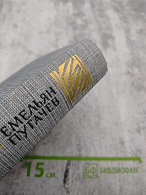 Емельян Пугачев. Историческое повествование. Книга первая