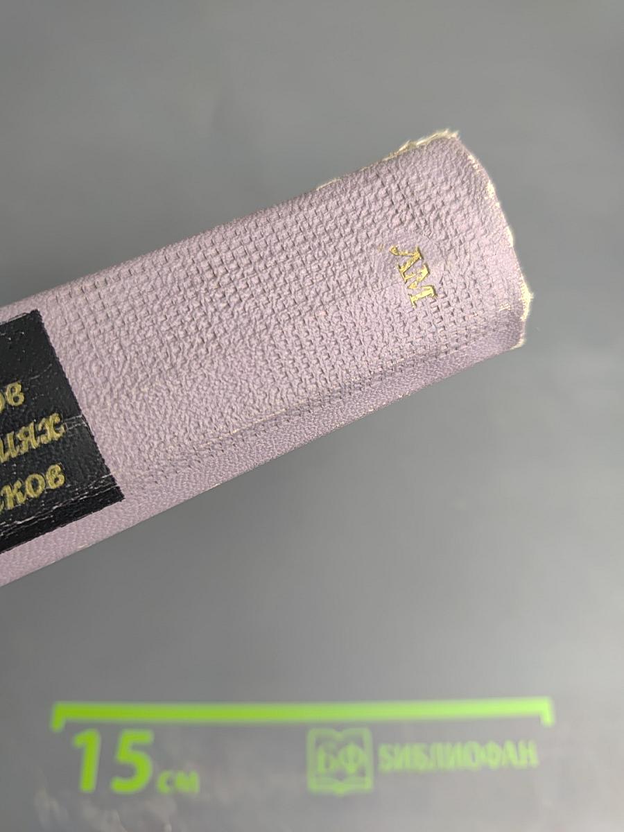 М. Ю. Лермонтов в воспоминаниях современников