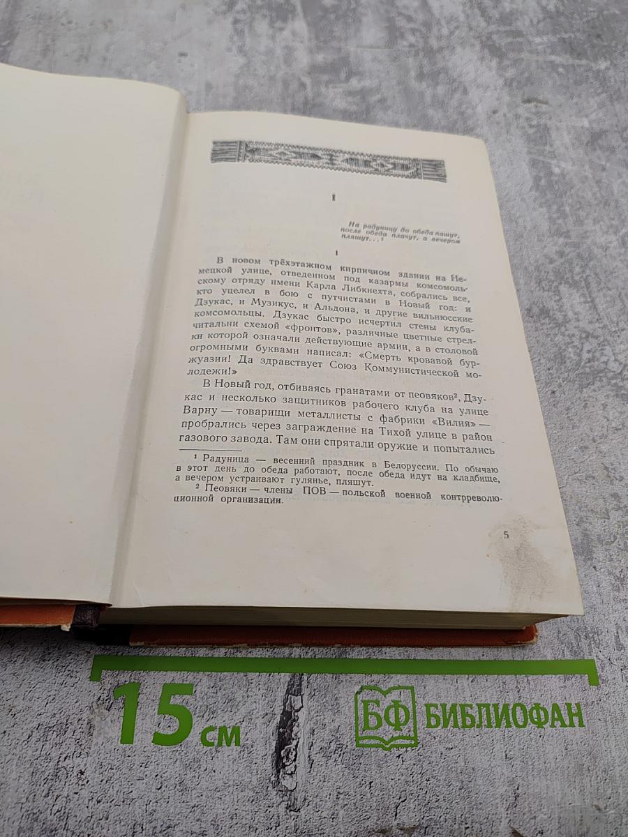 Братья (Книги первая и вторая)