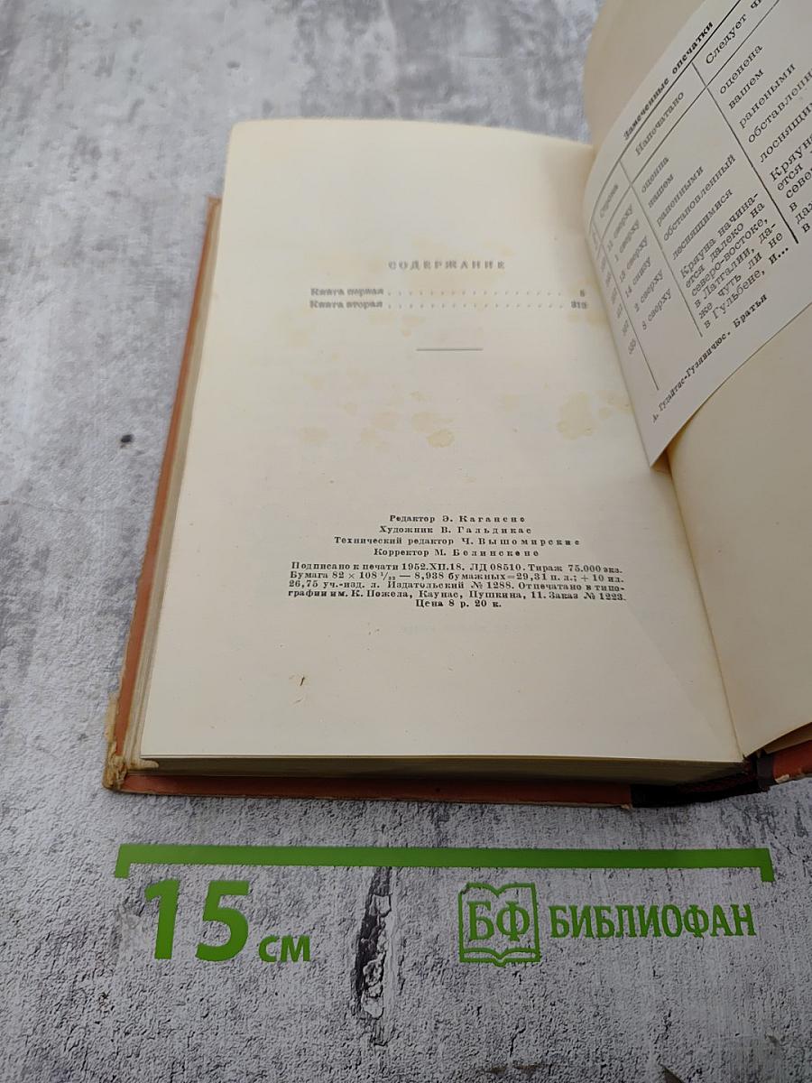 Братья (Книги первая и вторая)