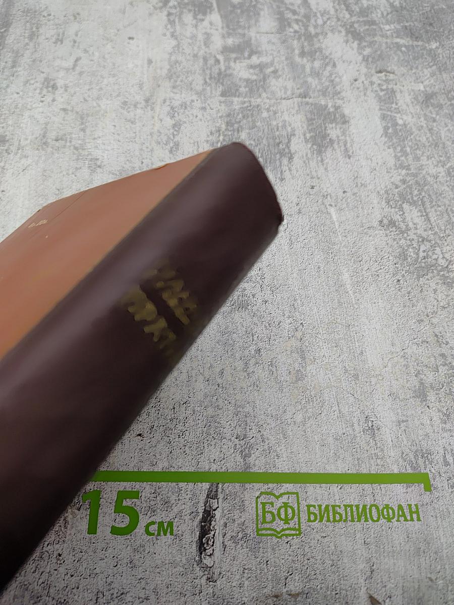 Братья (Книги первая и вторая)