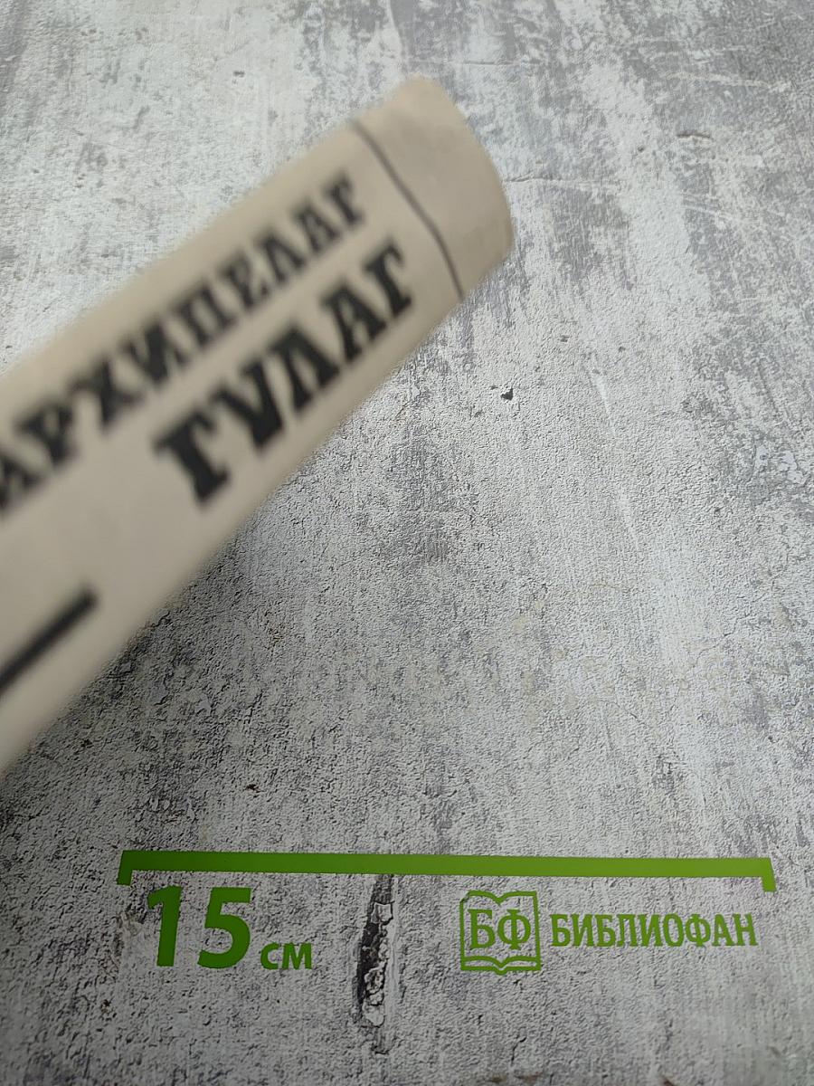 Архипелаг ГУЛАГ. 1918-1956. Опыт художественного исследования. Том Третий