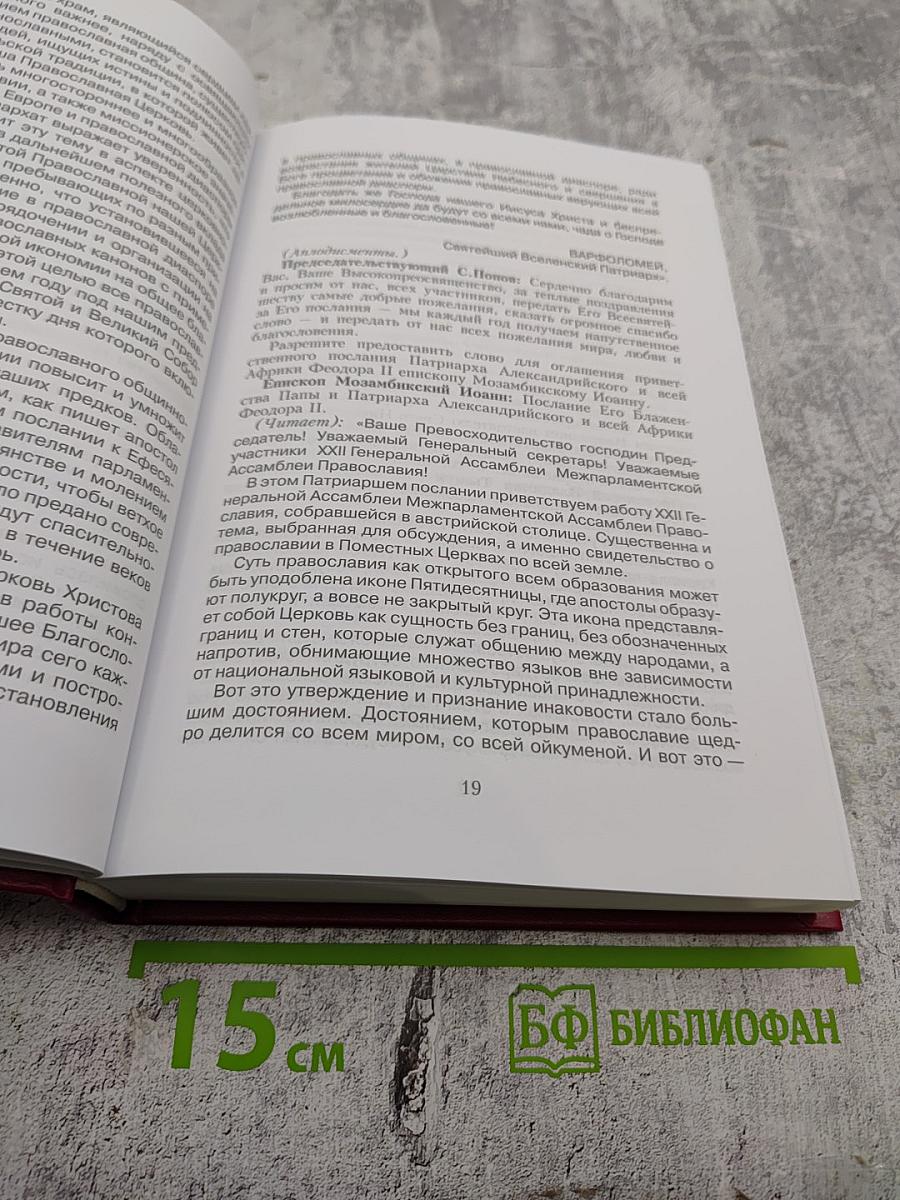 Документы и материалы Международных конференций в Вене (2015 г.) и Пироте (2016 г.)