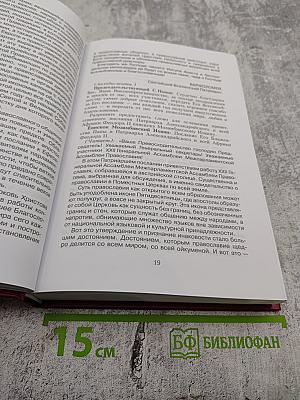 Документы и материалы Международных конференций в Вене (2015 г.) и Пироте (2016 г.)