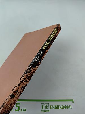 Фома Гордеев