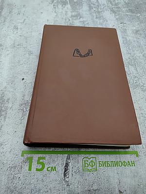 Молодость поэта