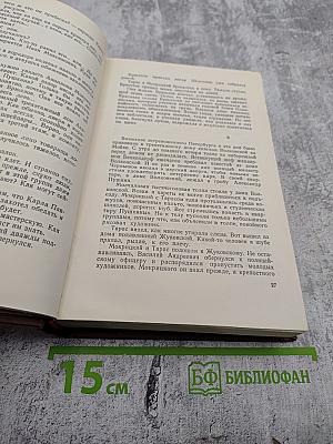 Молодость поэта