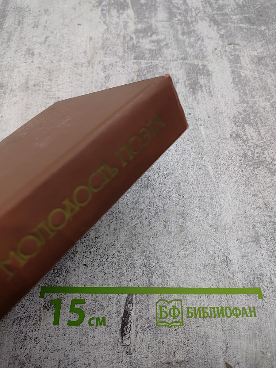 Молодость поэта