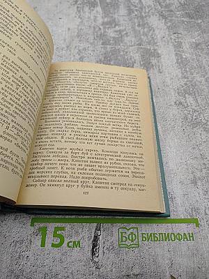 Родословная. Водопад. Запонь. Излука. Тридцать лет спустя