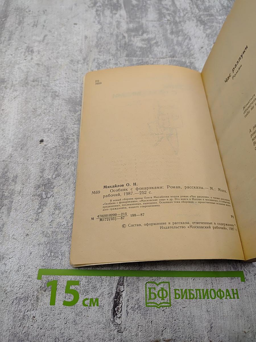 Особняк с фонариками