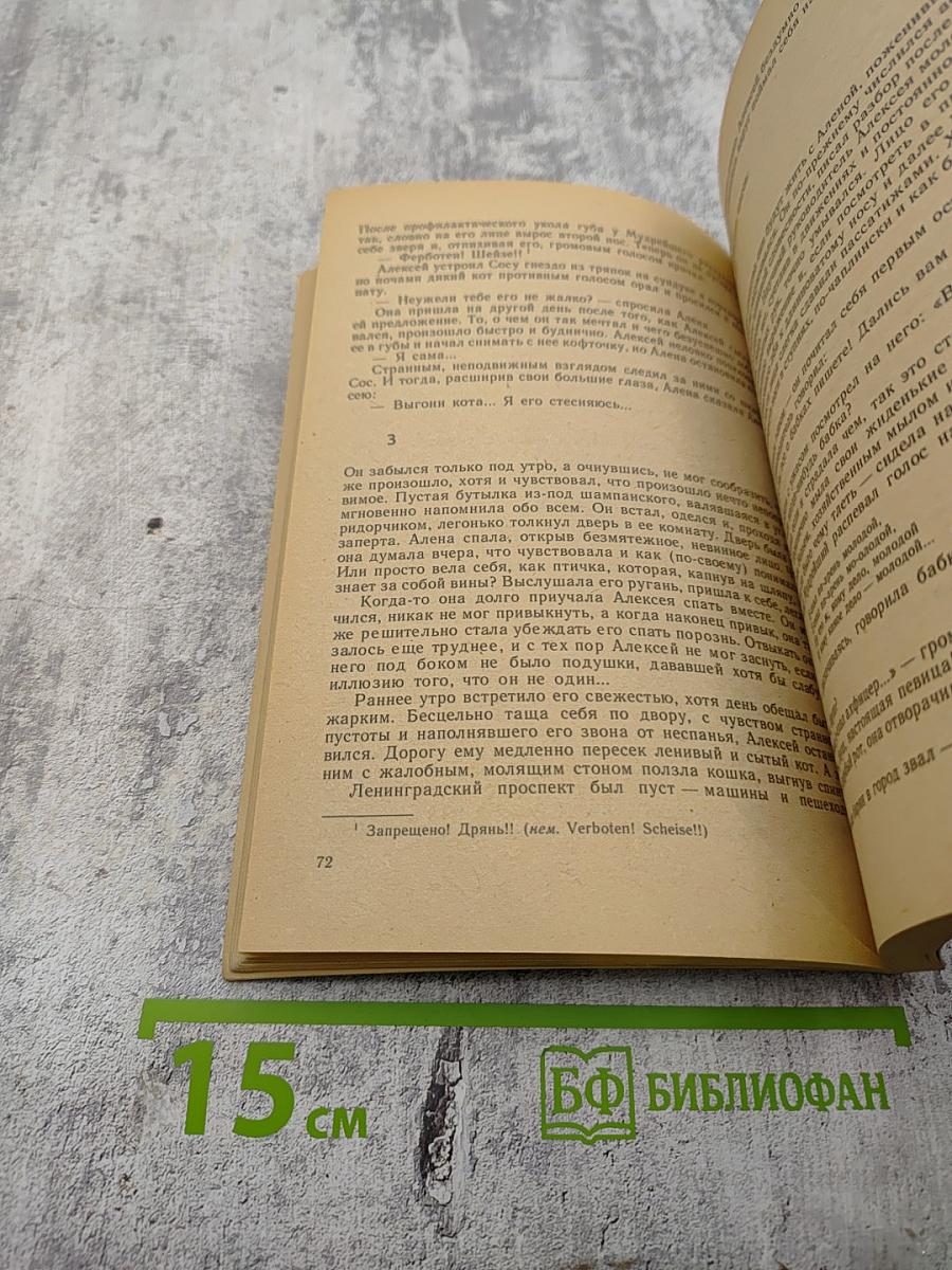 Особняк с фонариками