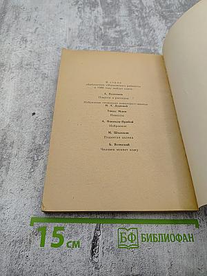 Особняк с фонариками