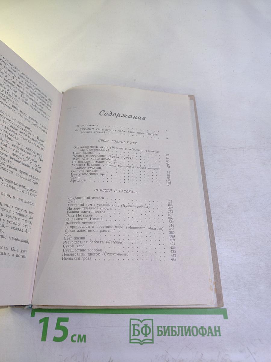 Течение Времени