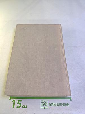 Течение Времени