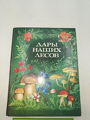 Дары наших лесов