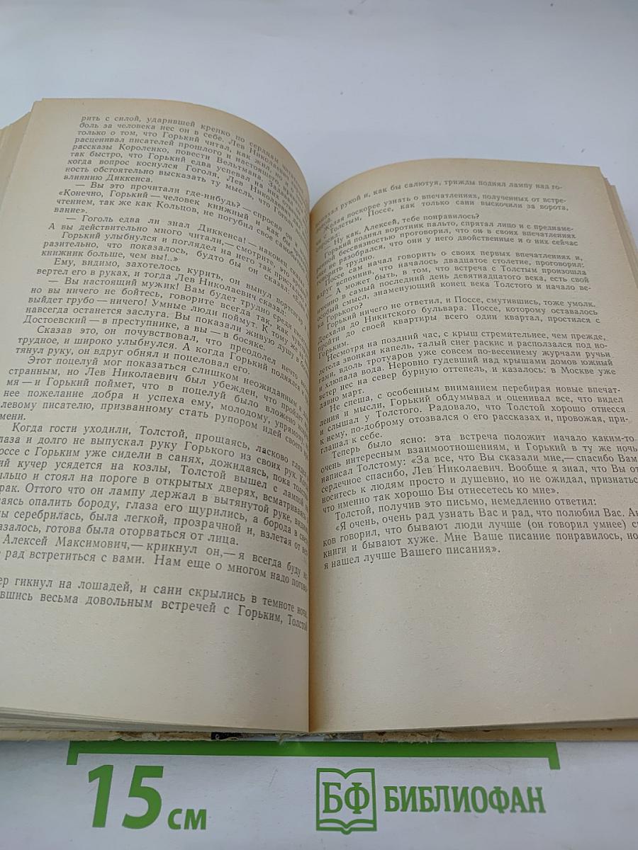 День из жизни писателя