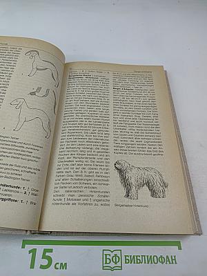 Bi-lexikon hunderassen