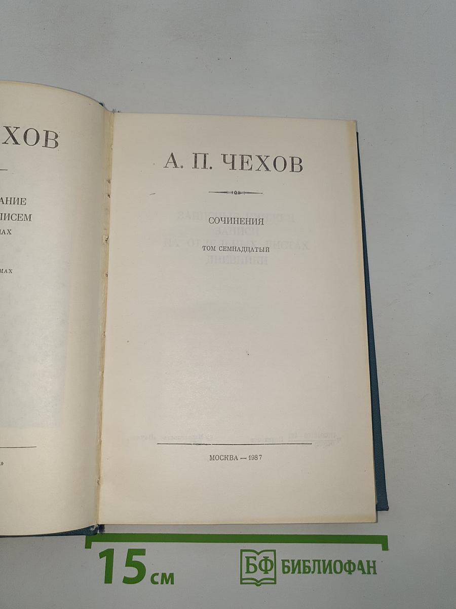 Полное собрание сочинений и писем. Том семнадцатый: Записные книжки, Записи на отдельных листах, Дневники